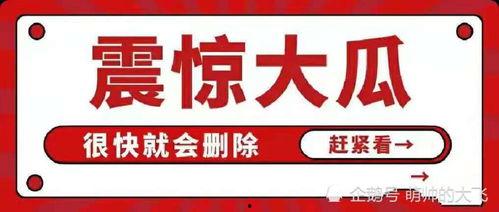 吃瓜娱乐有限公司,揭秘娱乐圈幕后故事，带你领略娱乐产业魅力  第2张